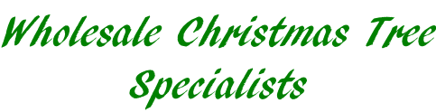 Wholesale Christmas Tree Specialists